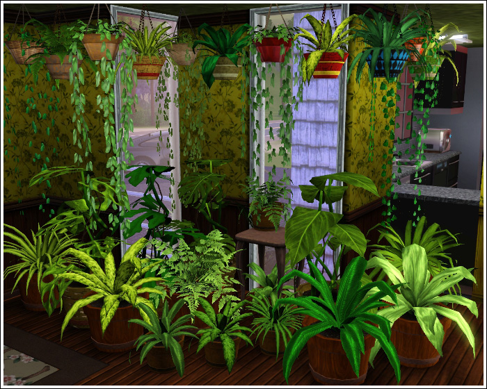 My Sims 3 Blog Indoor Plants by Aikea Guinea