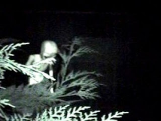 Blog de mundodoalem : Mundo do Além, Como sobreviver a um ataque alienígena?