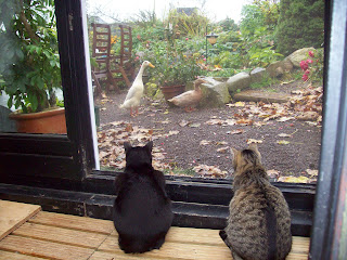 Engbers Mannermode Ihr Herrenausstatter Onlineshop