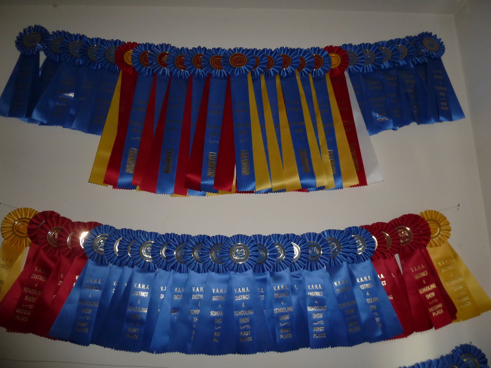 CRYSTAL CLEAR Oh What to do with Horse Show Ribbons