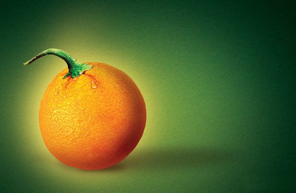 [laranja2.jpg]