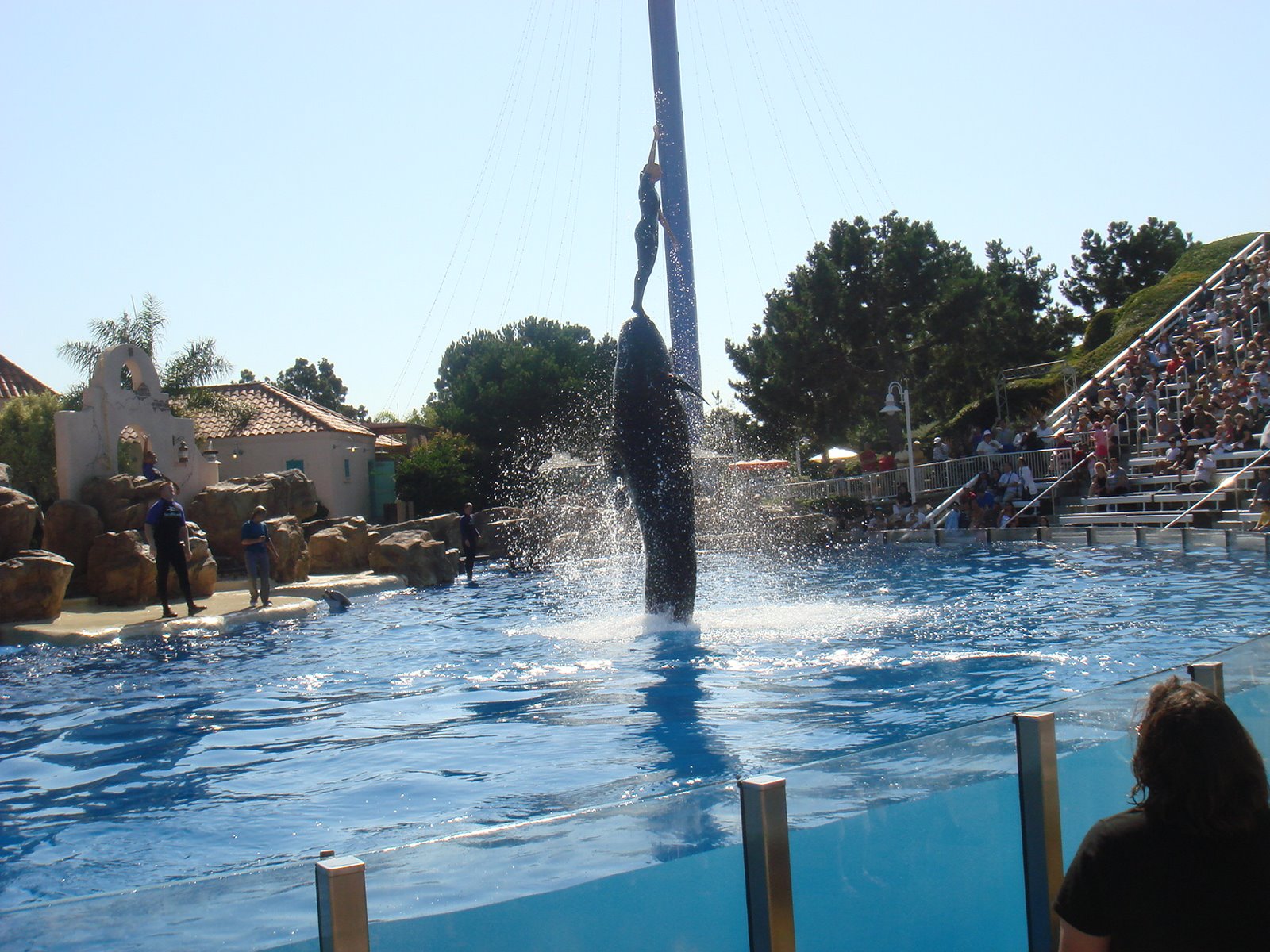 [DSC03268.JPG]