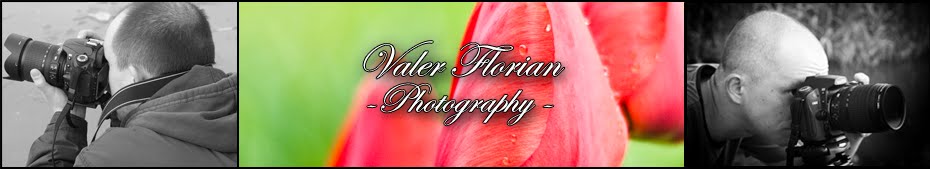 Valer Photography