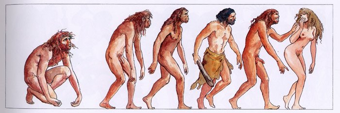 [evolution.jpg]