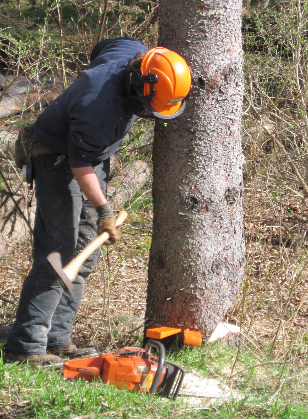 Freelance Ne'erdowell Loggery