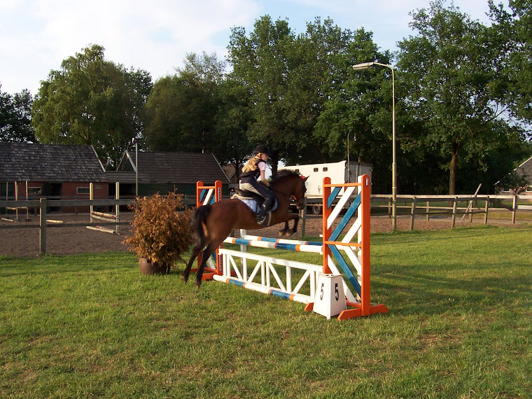 De andere Misty BL springen L1 dressuur