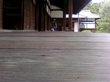 [Photo-0031#1.jpg]