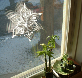 [Window.png]