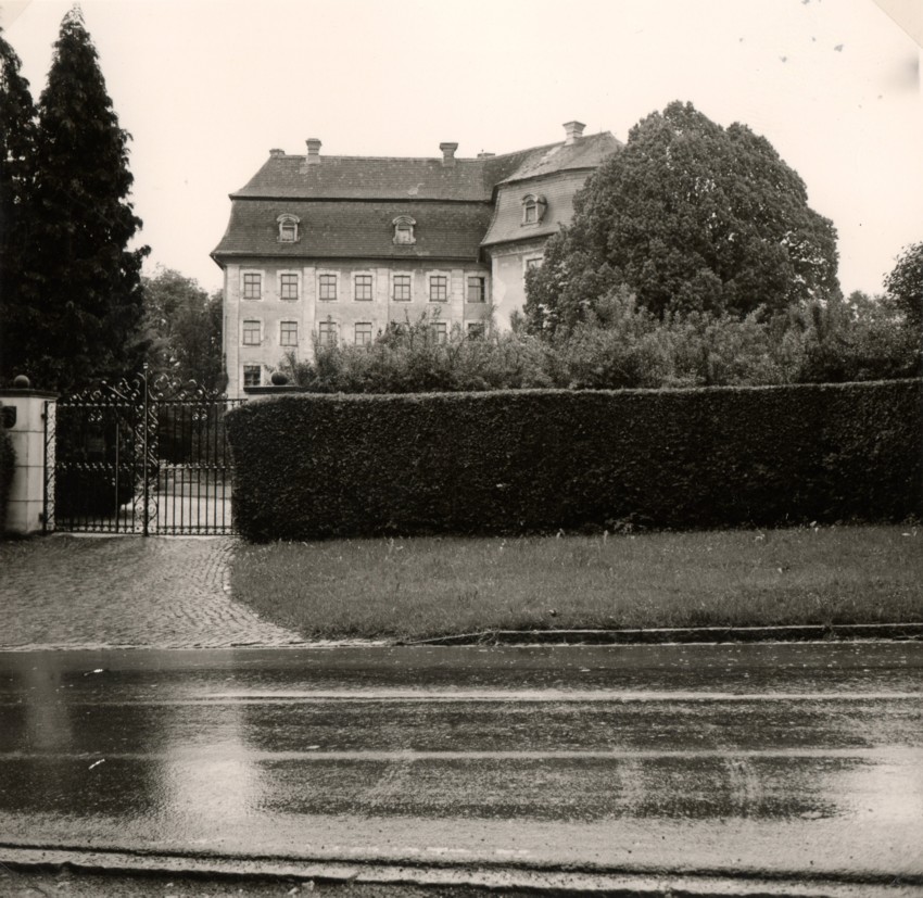 Dia Art Kunst In Ihrer Schonsten Form