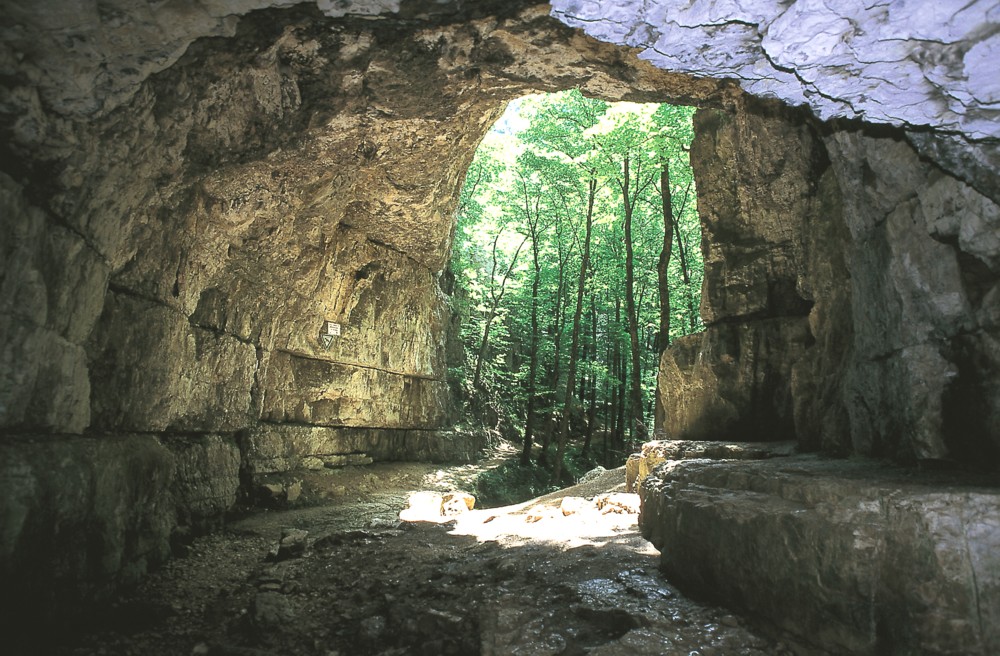 Illustration Alexander Steffensmeier Ausstellung Munster Illustration