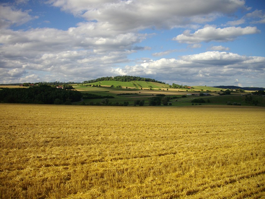 Trout Stalking Februar 2011