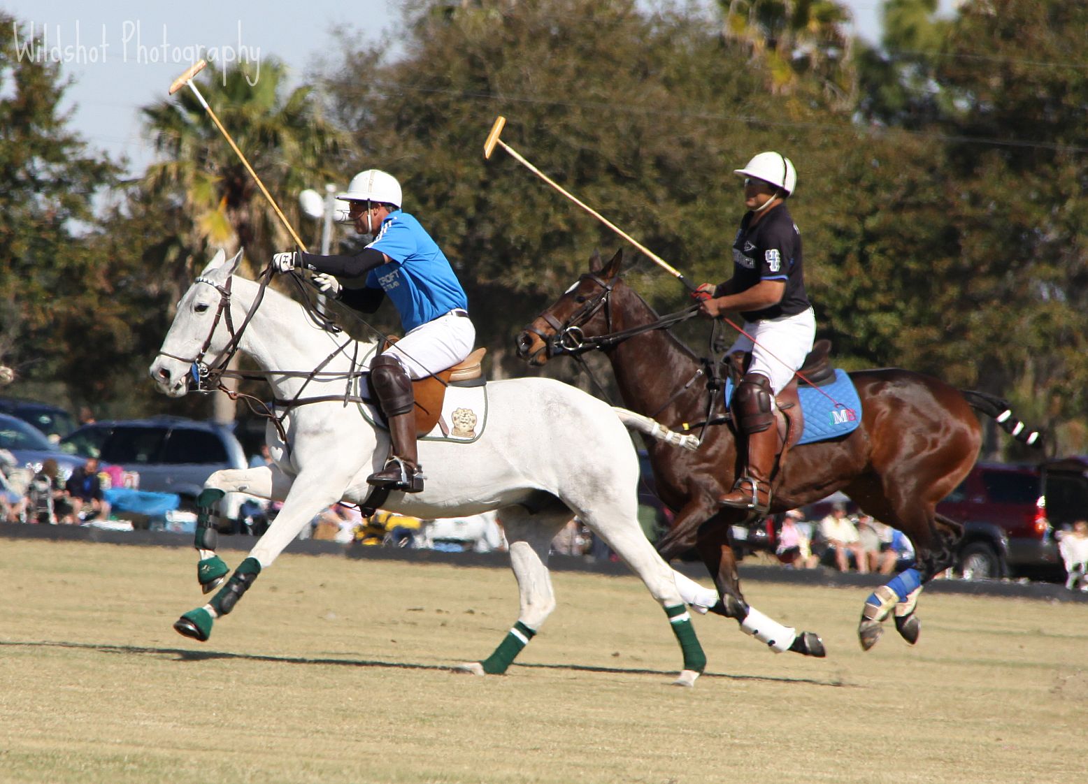 Game 13 Polo Match