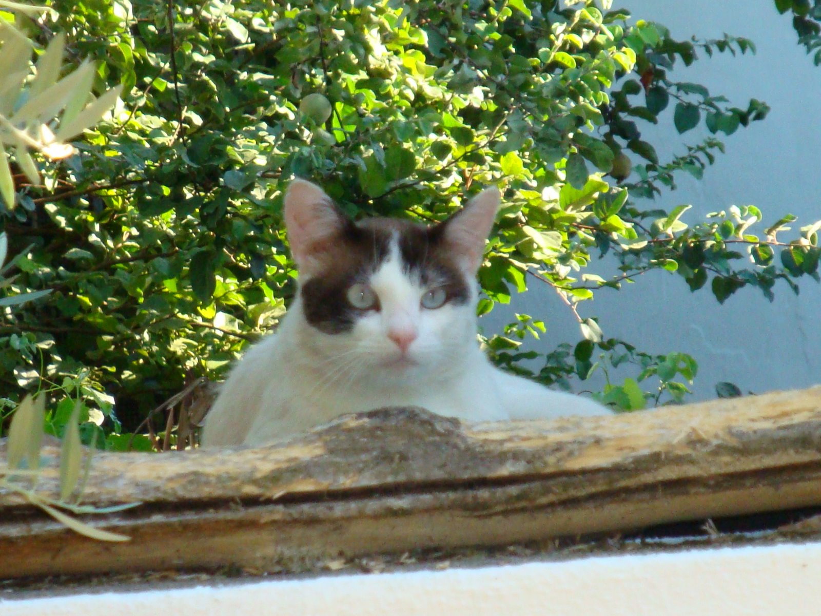 [DSC00371.JPG]