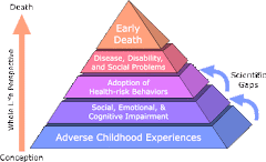 ACE-Study Pyramide...
