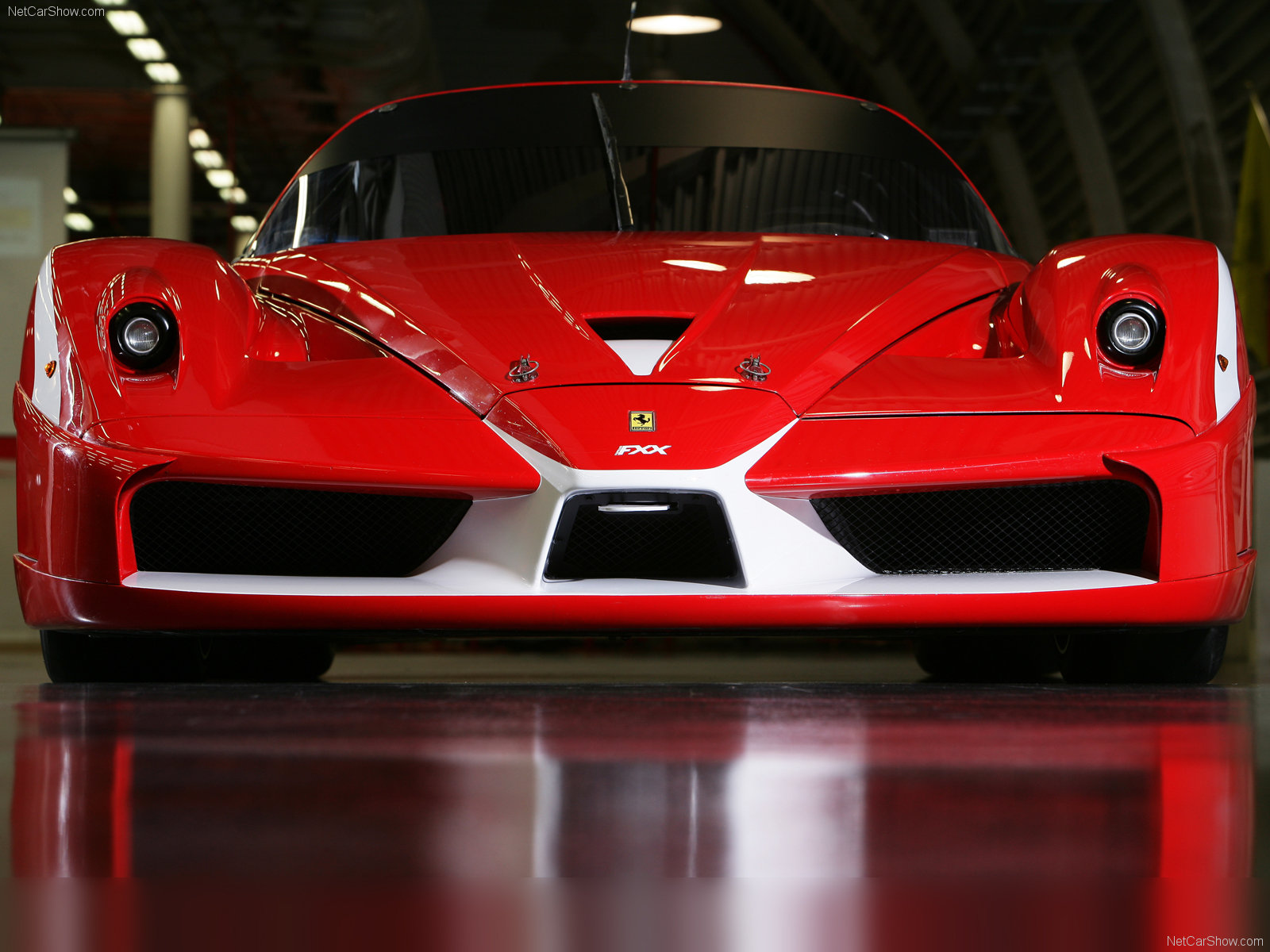 [fxx+evolution+front.jpg]