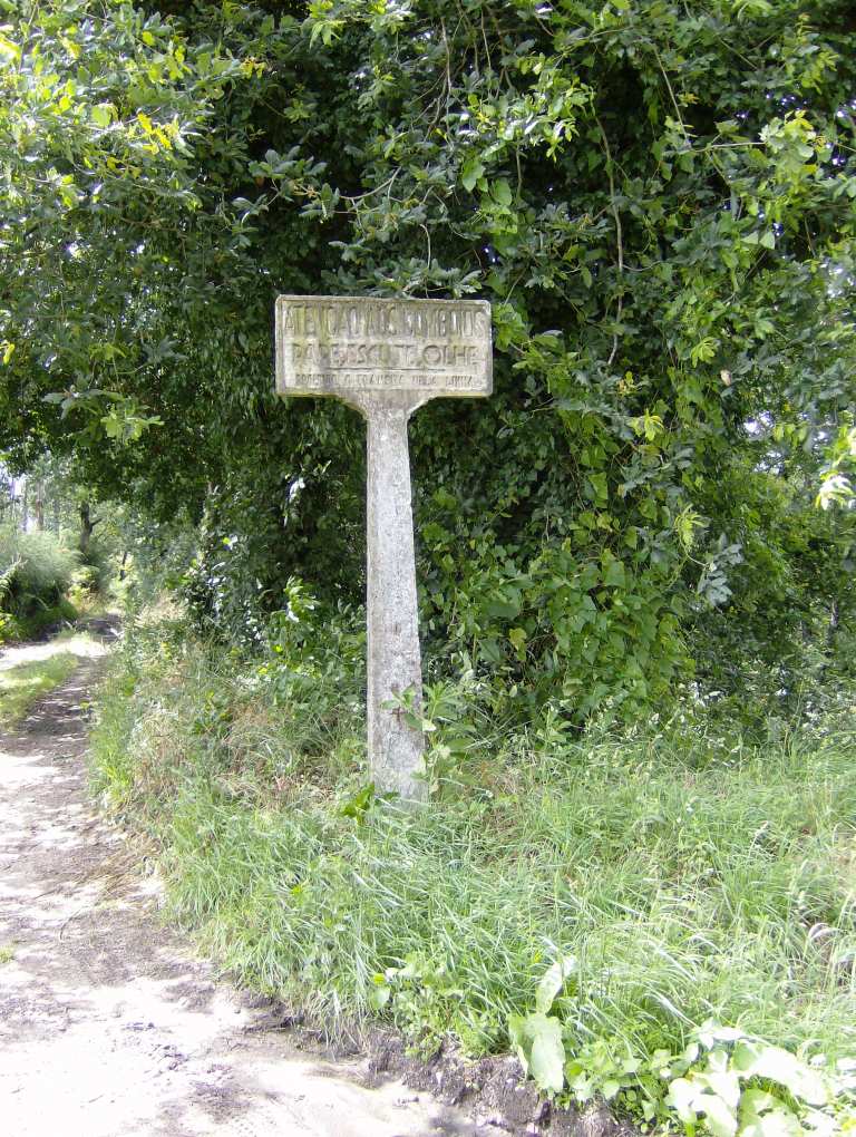 [HPIM0152.JPG]