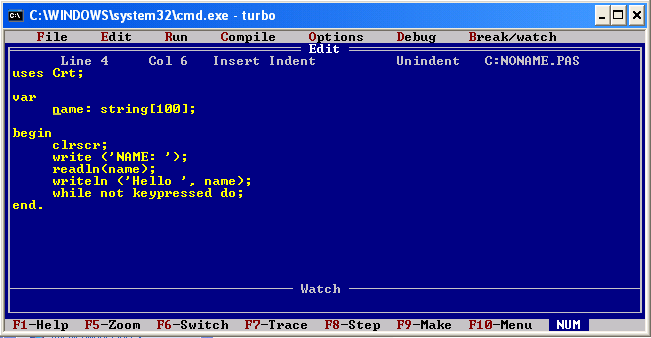 book Sexual Selections: What We Can and Can't