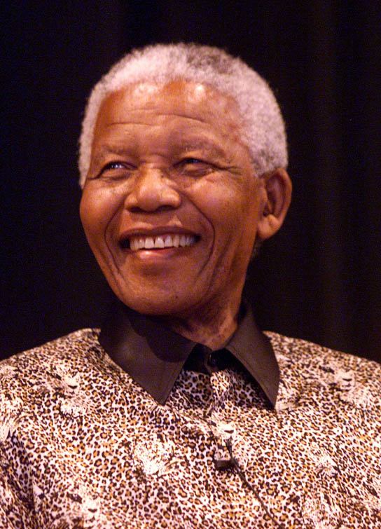 Essay on nelson mandela biography