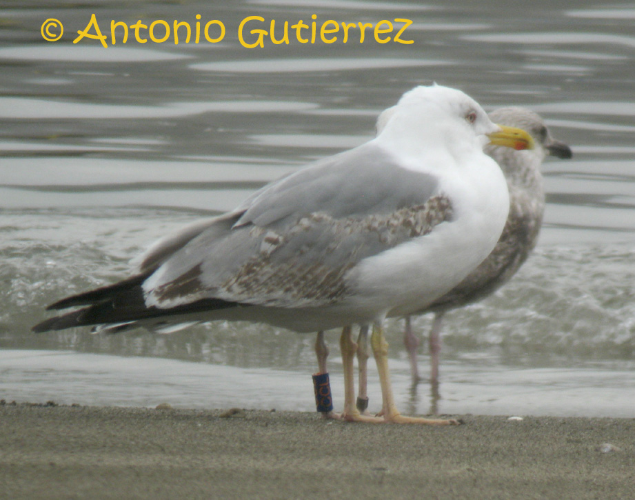 [IMG_5358+copia.jpg]
