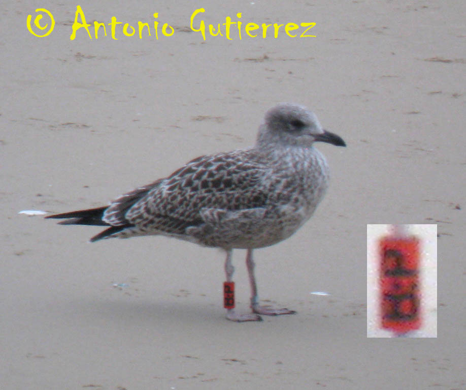 [IMG_3473_copia.jpg]