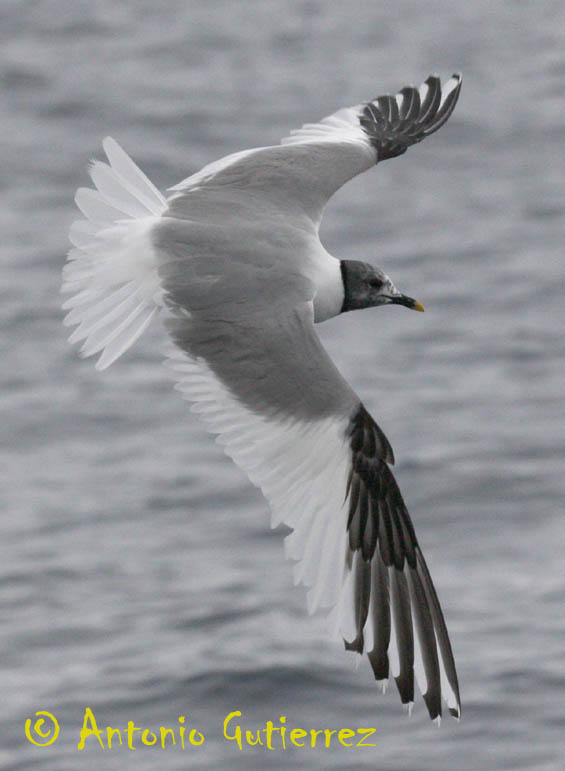 [IMG_4343+copia.jpg]