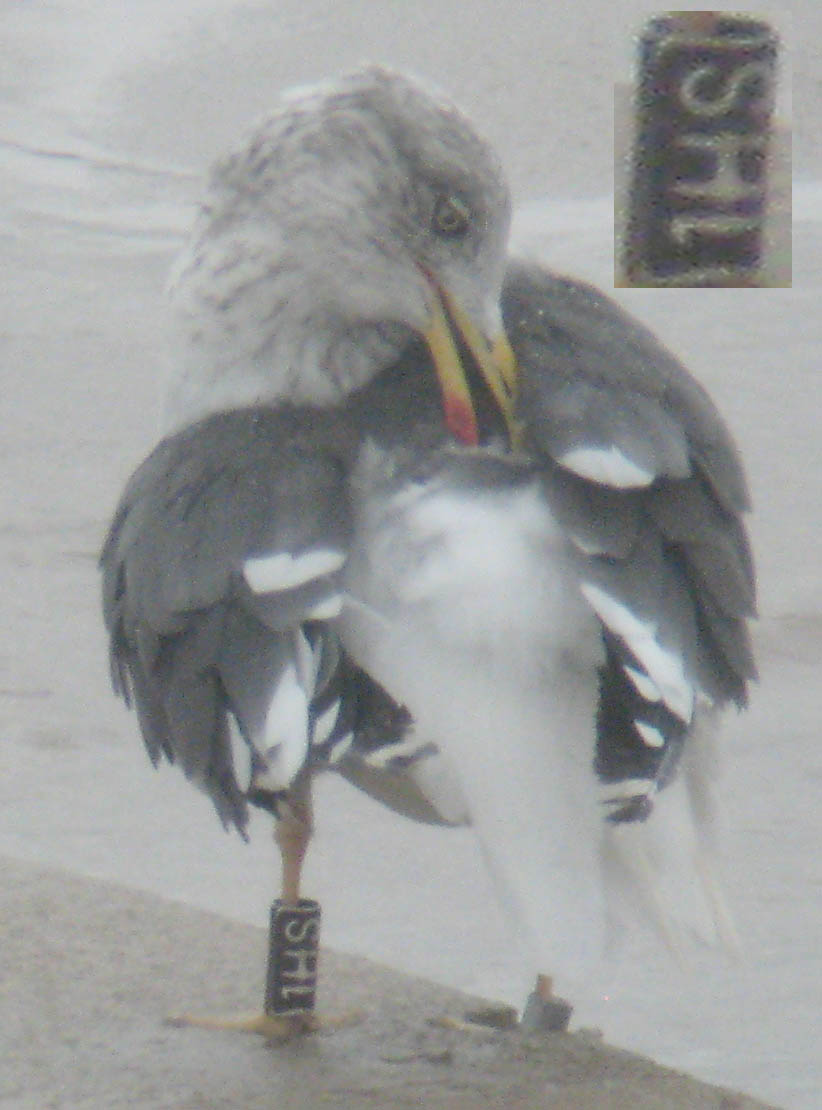 [IMG_0017+copia.jpg]