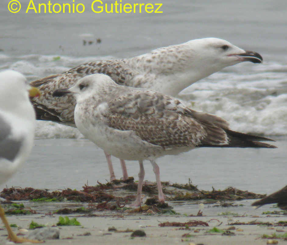[IMG_9889+copia.jpg]