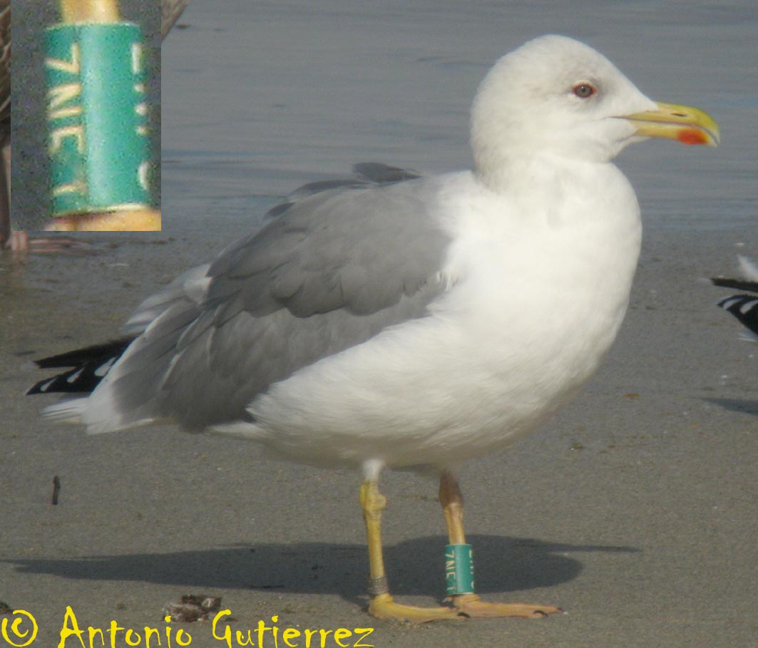 [IMG_7540+copia.jpg]