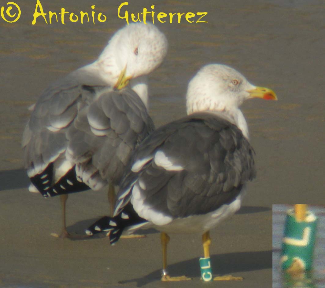 [IMG_8518+copia.jpg]