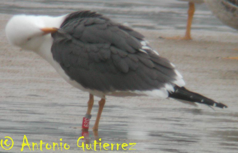 [DSCN3473+copia.jpg]