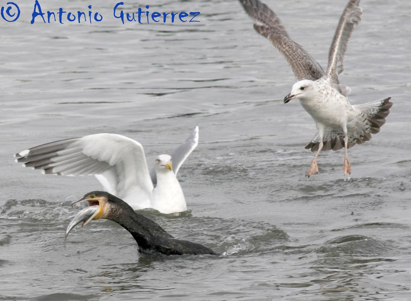 [IMG_7310+copia.jpg]