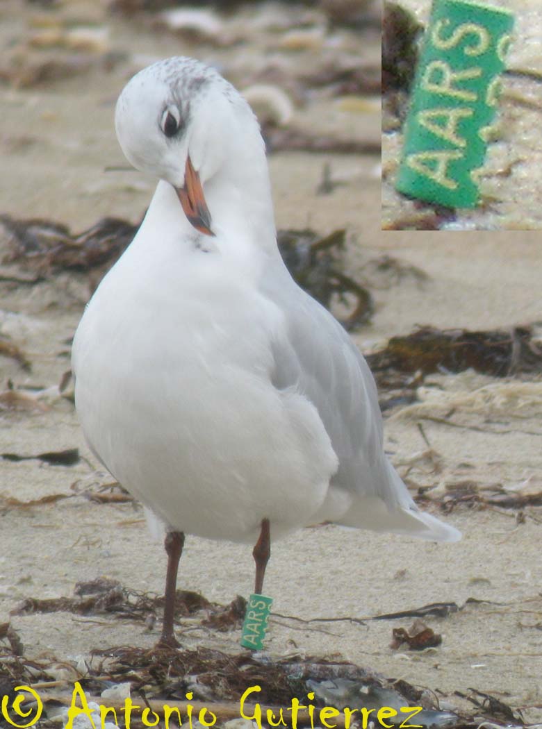 [IMG_9756+copia.jpg]