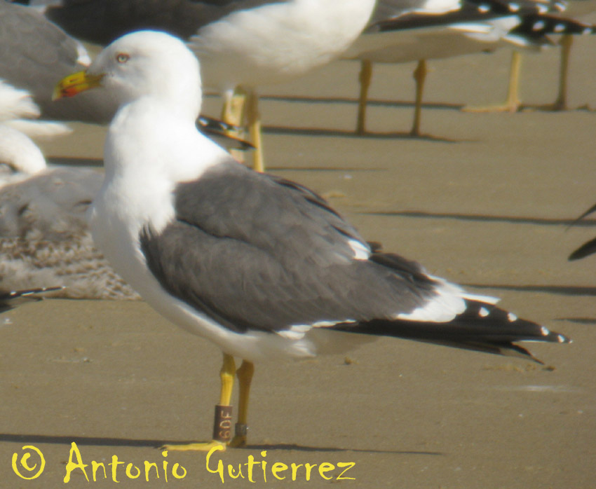 [IMG_3847+copia.jpg]