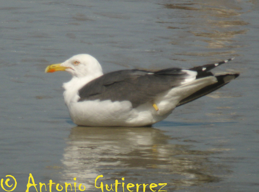 [IMG_5227+copia.jpg]