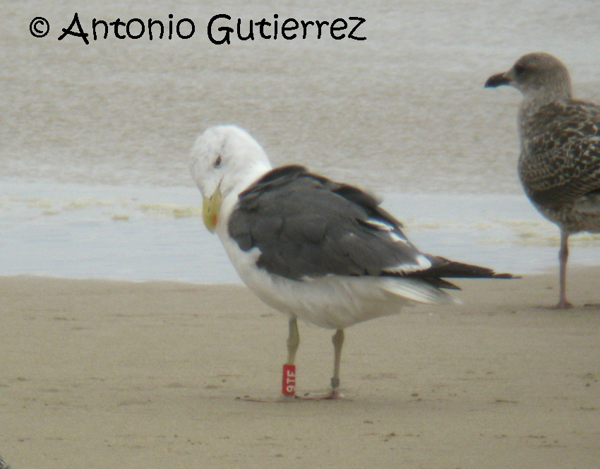 [IMG_4200+copia.jpg]