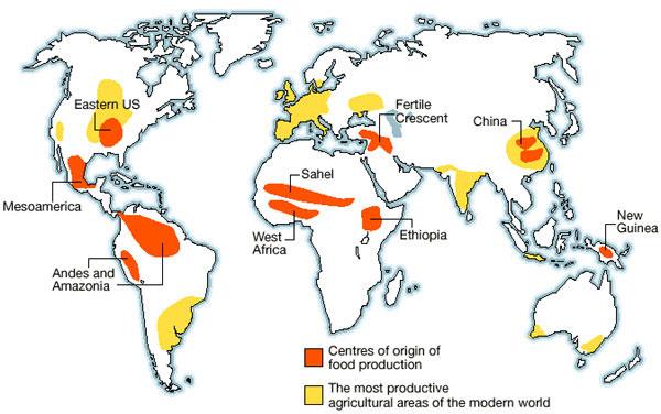 Causes of world hunger essays