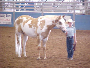 Michael showing Brooke