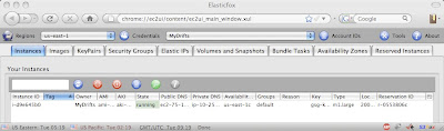 ElasticFox showing one running EC2 instance. Note the Tag column, which is empty for the running instance.