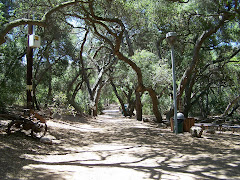 Oak Canyon Nature Center