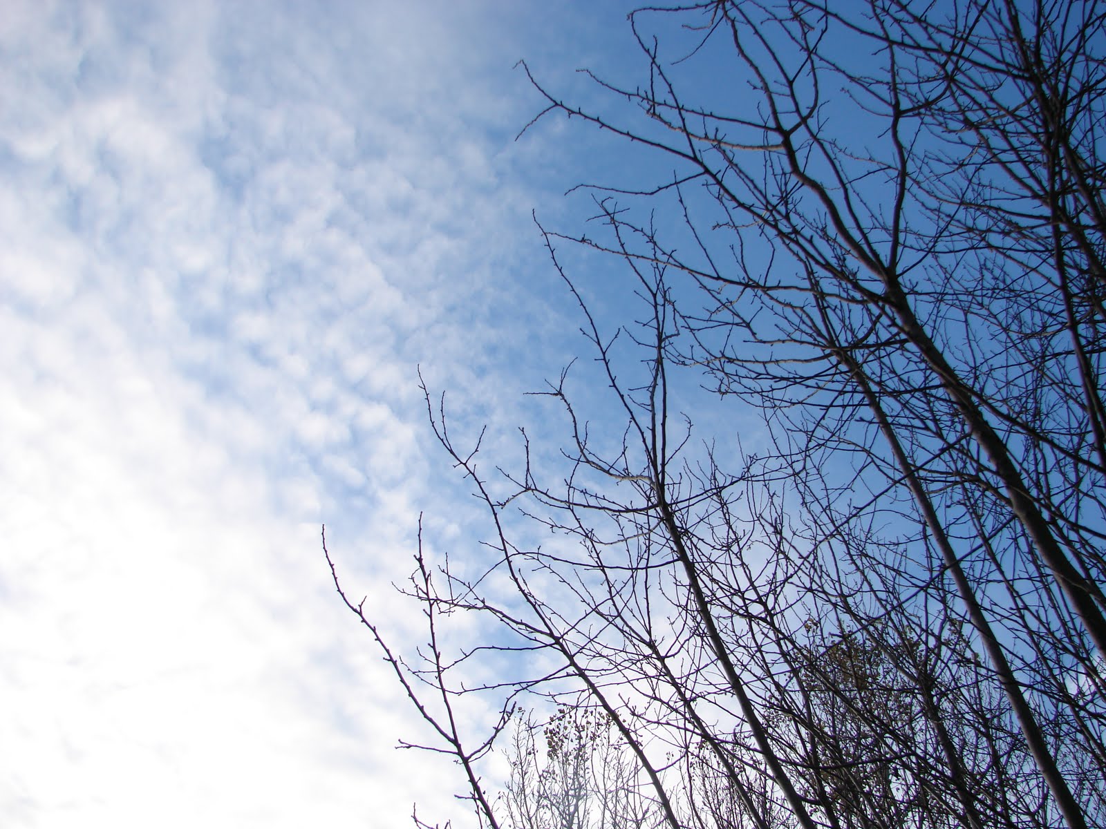 [DSC02414.JPG]