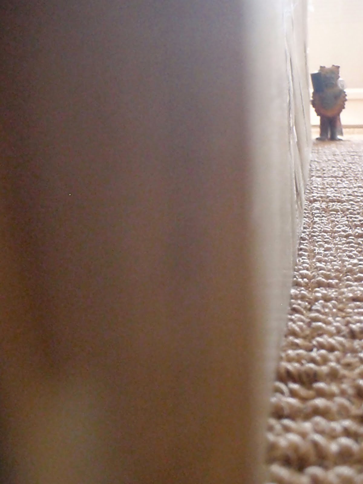 How+to+shift+gears+on+a+bike+for+dummies