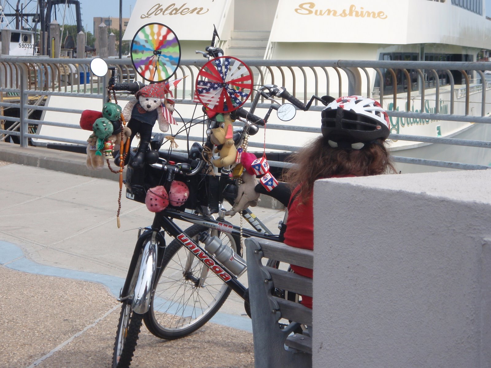 [lone+wolf+pinwheels.JPG]