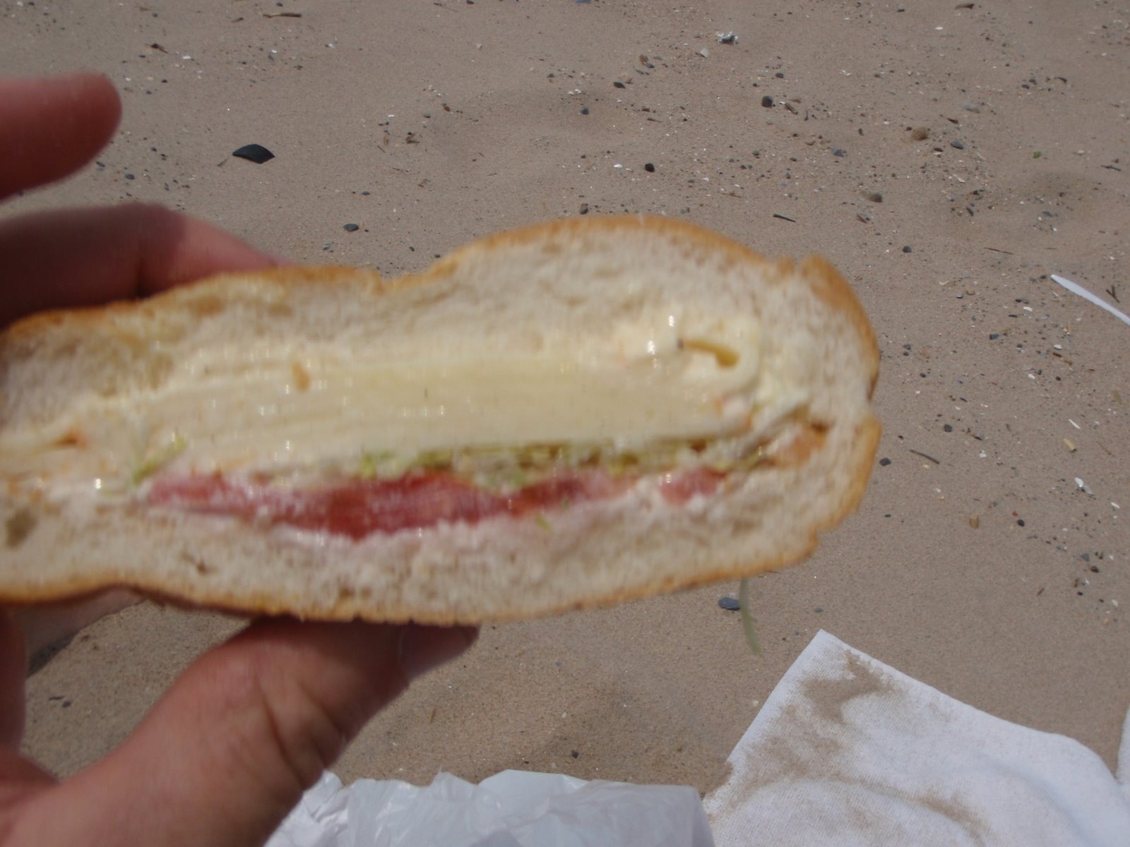 [cheese+sandwich.JPG]