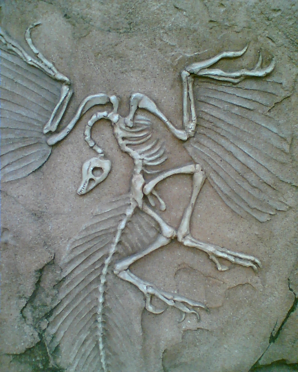 . Photo Finish . Archeology