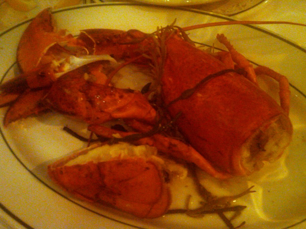 eat lobster