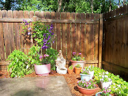 My Patio Garden