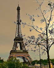 La Tour Eiffel ♥