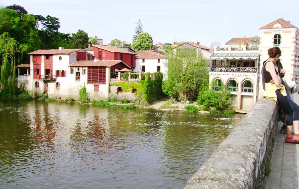 [DSC04984.JPG]