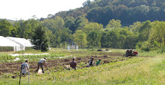 Harvesting