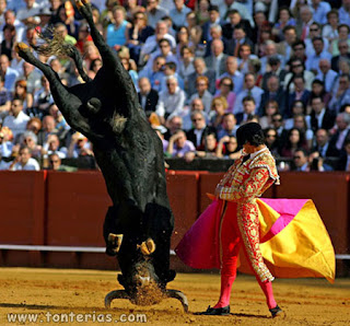 toros asesinos